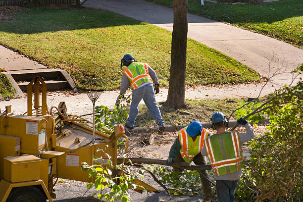 Mulching Services in Lytle, TX